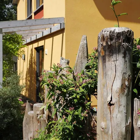 Apartment Casa-del-mar - Am Mit Sauna Und Kamin Koserow